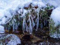 Eiskeulen an Gräsern hängen über des Bachufer